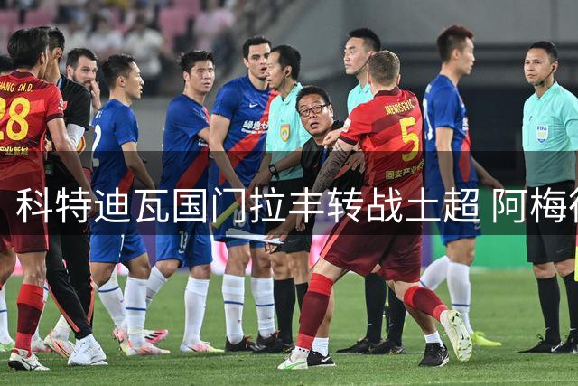 科特迪瓦国门拉丰转战土超 阿梅德斥资百万欧元锁定后防核心