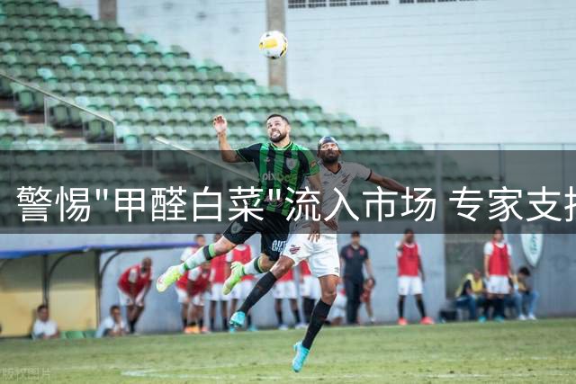 警惕"甲醛白菜"流入市场 专家支招三步骤辨别问题蔬菜